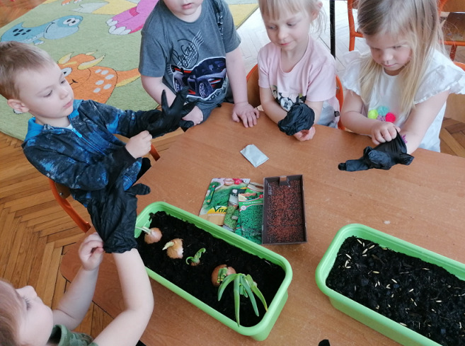 Dzieci zakładają zielony ogródek w sali    gródka w sali