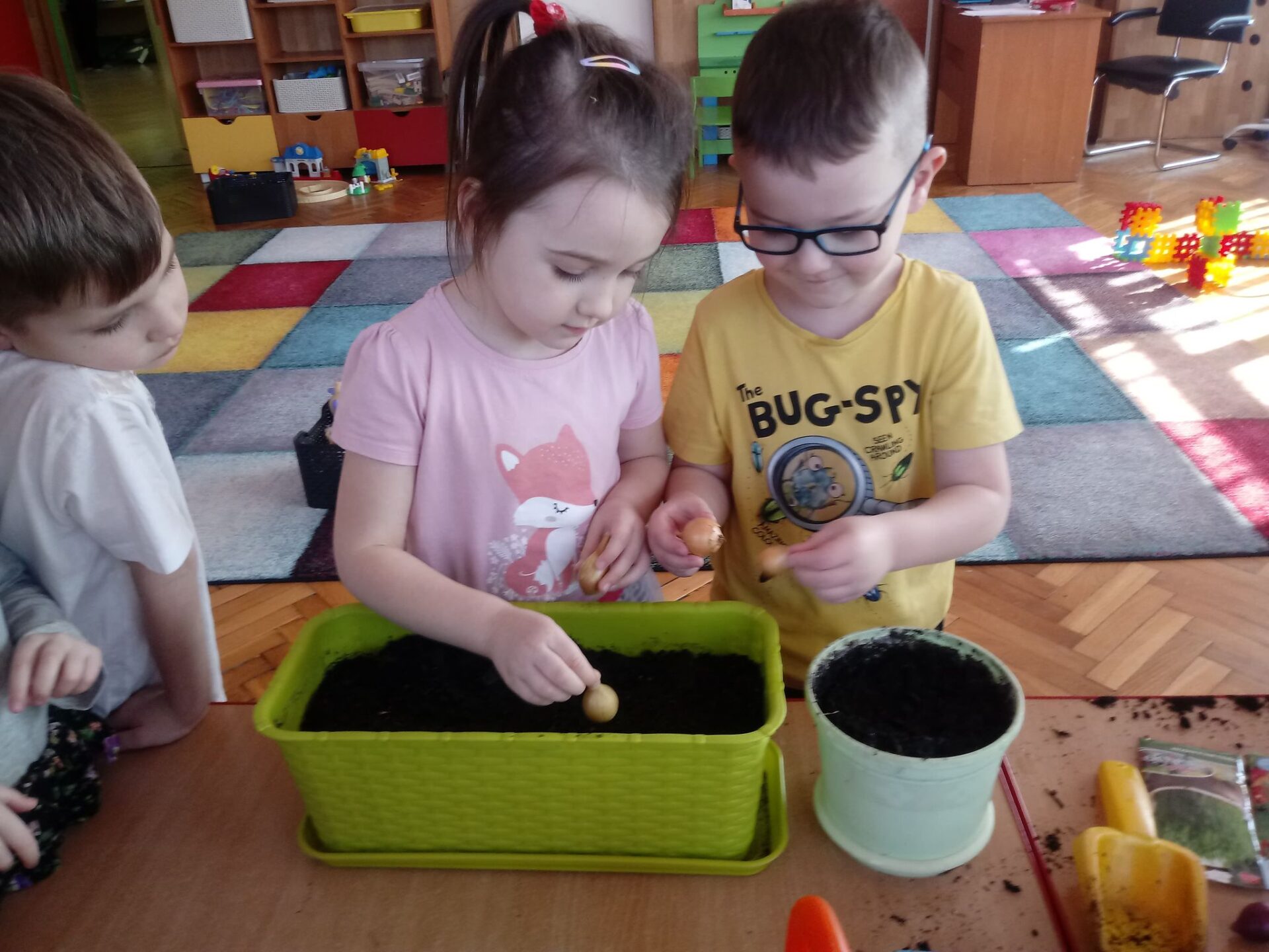 Dziewczynka i chłopiec sadzą cebulki w doniczce