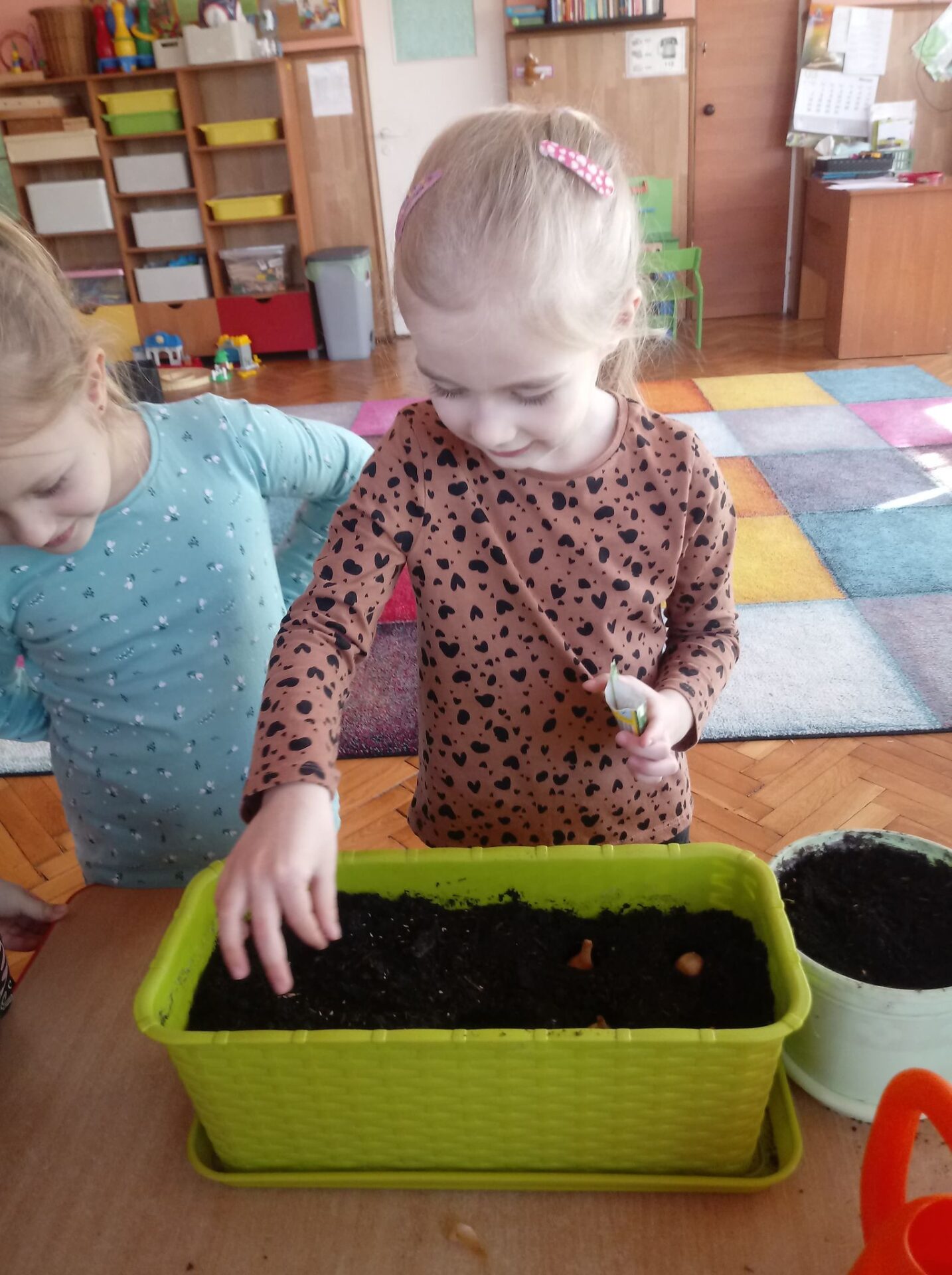 Dziewczynka sieje nasiona w doniczce
