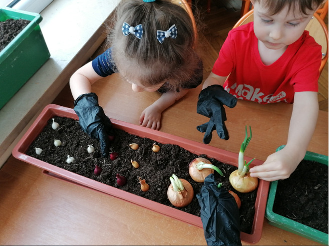 Dziewczynka i chłopiec sadzą cebulę