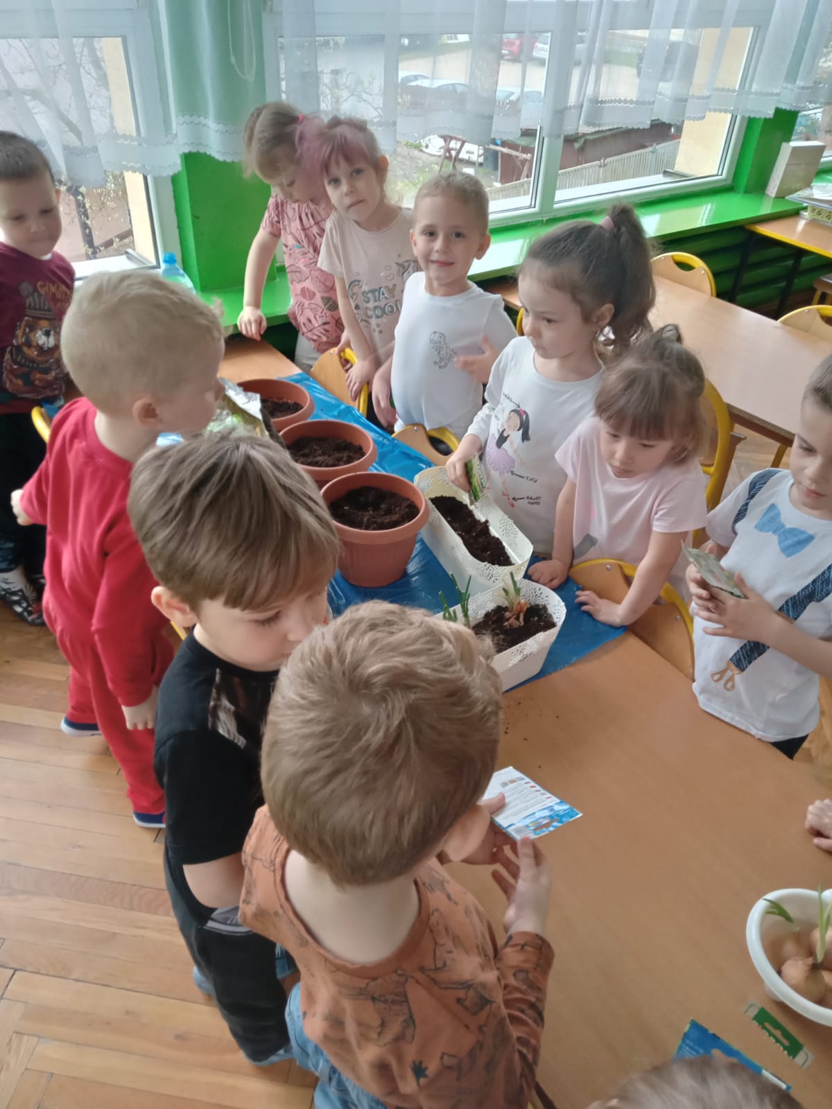 Dzieic sadzą nasionka w doniczkach z ziemią