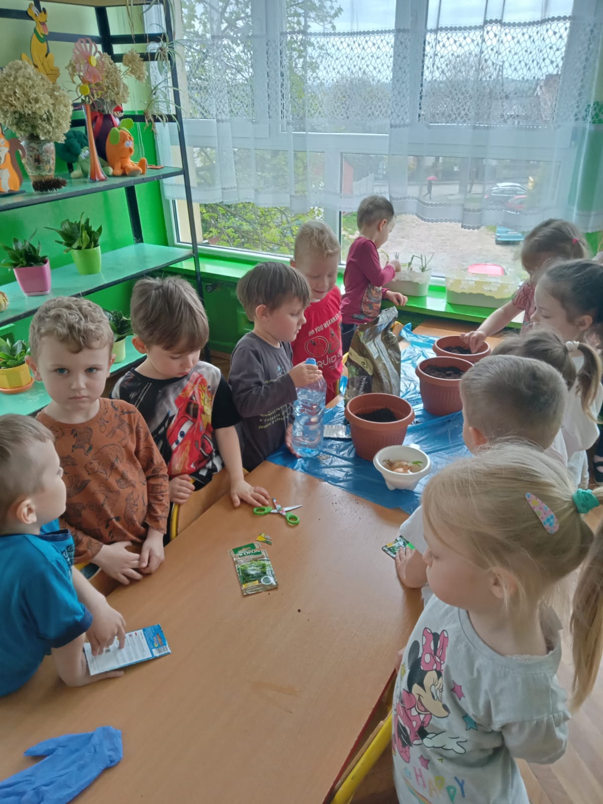 Grupa dzieci przy stolikach ogląda nasiona i przygotowuje sie do ich zasiania