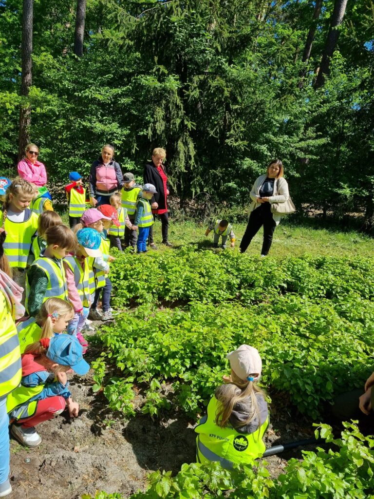 Dzieci na wycieczce w lesie