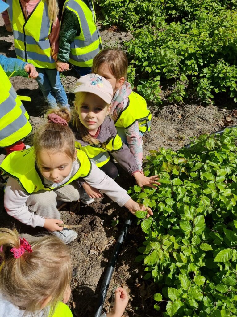 Dzieci poznają krzewy liściaste