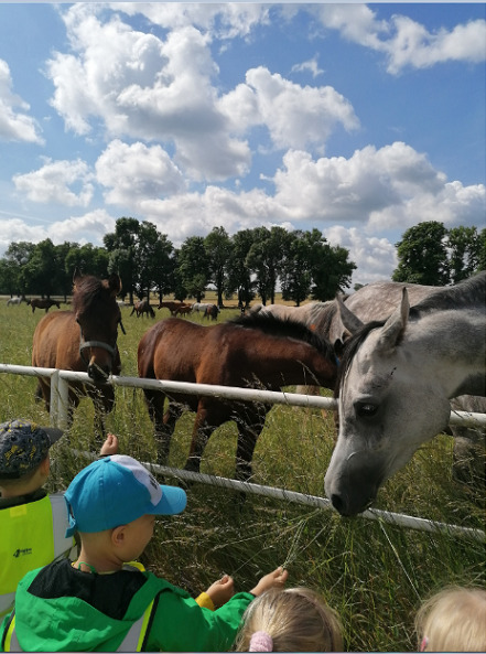 Dzieci oglądają konie na wybiegu