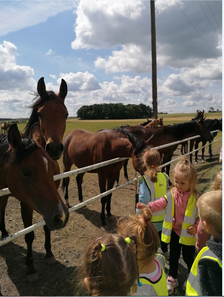 Dzieci obserwują konie