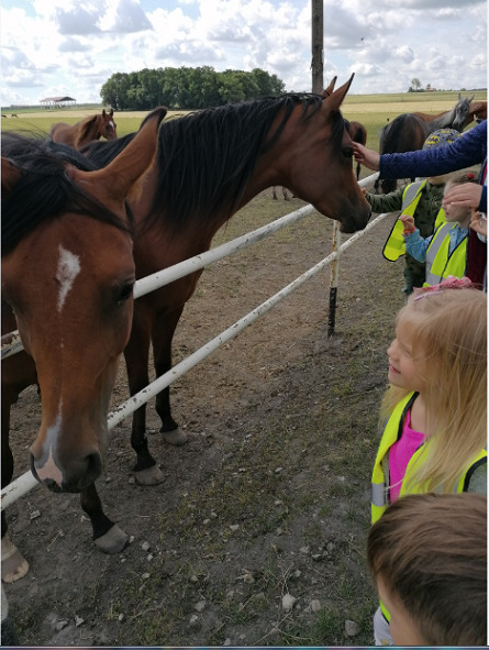 Dziewczynka obserwuje konia