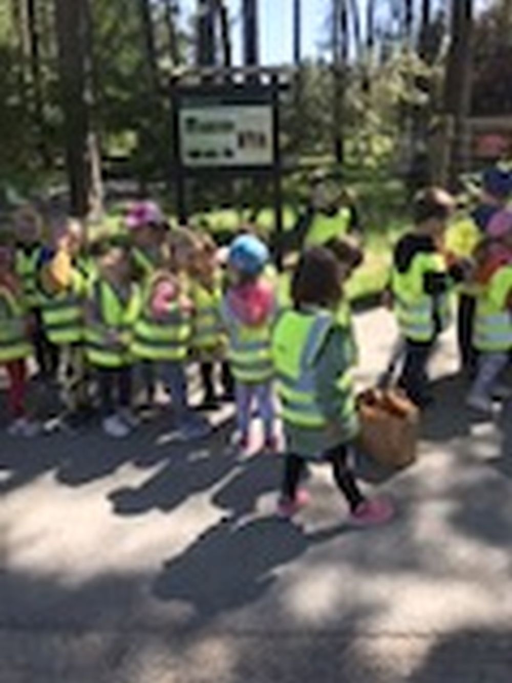 dzieci przy tablcy z informacjami o drzewach