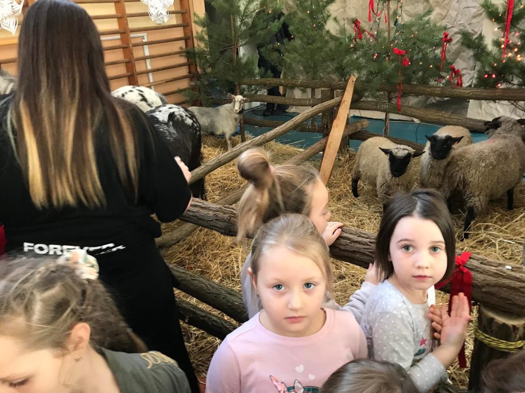 Dzieci oglądają zwierzęta z żywej szopki.