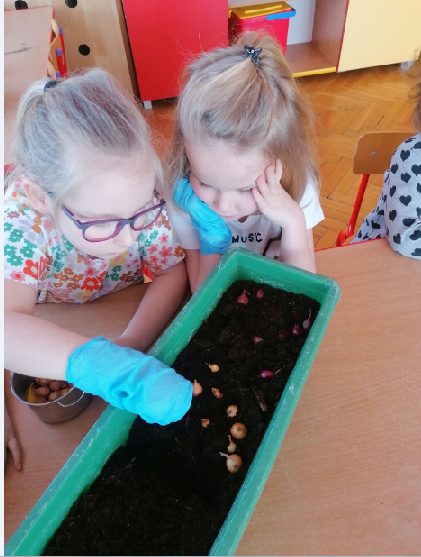 Dzieci sadzą cebulę