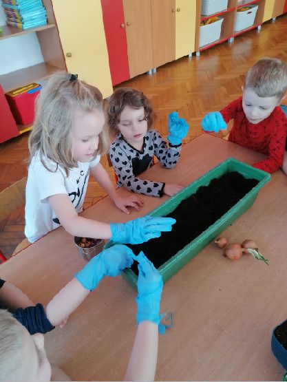 Dzieci sadzą cebulę